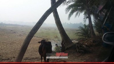 যশোরে শীতের প্রকোপ