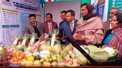 কুষ্টিয়ায় উন্নয়ন মেলা পরিদর্শনে হানিফ