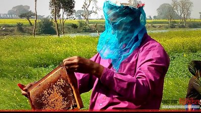 মৌ চাষি জানারুল ইসলাম