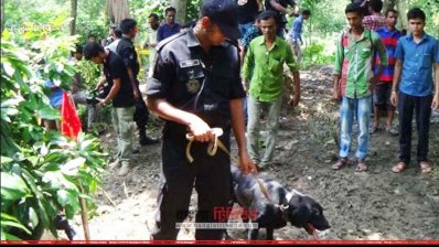 ২০১৪ সালে সাতছড়ি উদ্যানে র&zwnj;্যাবের অভিযান (ফাইল ছবি)