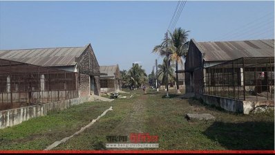 উত্তরাঞ্চলে বেকারত্ব কমাচ্ছে নওগাঁর আঞ্চলিক হাঁস প্রজনন খামার