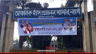 আঞ্চলিক হাঁস প্রজনন খামার