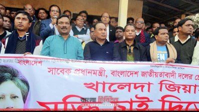 বক্তব্য রাখছেন আসাদুল হাবিব দুলু (ছবি- প্রতিনিধি)