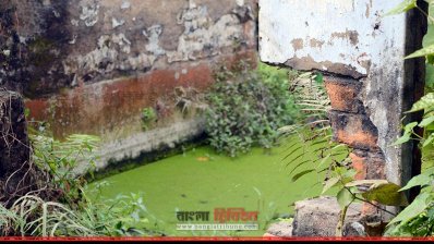 অযত্ন-অবহেলায় হারিয়ে যাচ্ছে ভাষাসৈনিক শহীদ ধীরেন্দ্রনাথের স্মৃতি