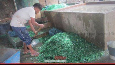 প্লাস্টিকের বোতল প্রক্রিয়াজাত করা হচ্ছে