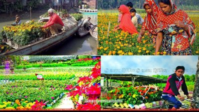 তিন উৎসবকে ঘিরে বরিশালে জমে উঠেছে ফুল ব্যবসা