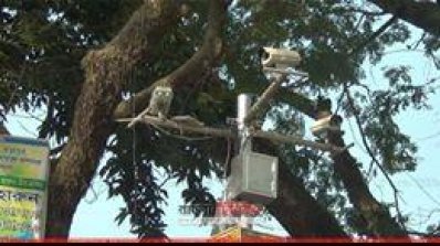 হিলি সীমান্তে সিসি ক্যামেরা ও সার্চ লাইট স্থাপন 