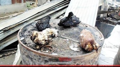 আগুনে পুড়ে যাওয়া মোরগ (ছবি- প্রতিনিধি)