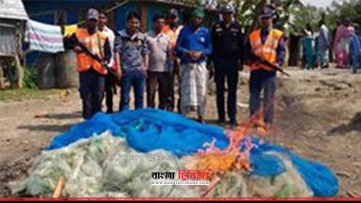 পুড়িয়ে ফেলা হচ্ছে জাল