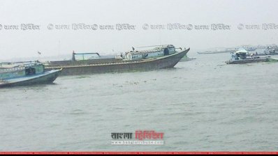 জাটকা সংরক্ষণ সপ্তাহেও নিষেধাজ্ঞা অমান্য করে চলছে নিধন