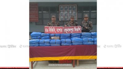 বেনাপোলে বিপুল পরিমাণ ভারতীয় গাঁজা  উদ্ধার