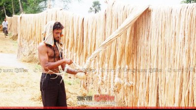 পাট