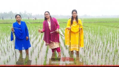 বোদা উপজেলায় পার্চিং উৎসব 
