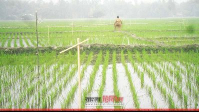 এক হাজার পার্চিং স্থাপন 