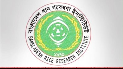 ধান গবেষণা ইনস্টিটিউট