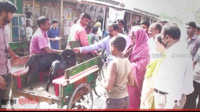 প্রচারণায় আফরোজা বারী