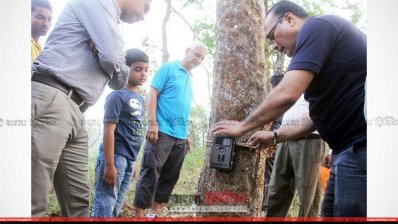 বাঘের পায়ের ছাপ দেখে চা বাগানের গুরুত্বপূর্ণ কয়েকটি স্থানে বসানো হচ্ছে ‘নাইট ভিশন’ পর্যবেক্ষণ ক্যামেরা