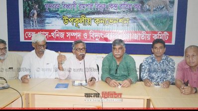 রামপাল বিদ্যুৎকেন্দ্র সুন্দরবনের জন্য মরণ কামড়: আনু মুহাম্মদ