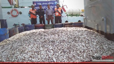 জব্দ করা মাছ