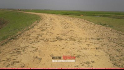 হাওরে চলছে ফসল রক্ষা বাঁধের কাজ