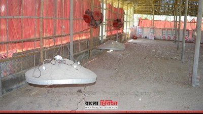 লোকসানে খামার বন্ধ 