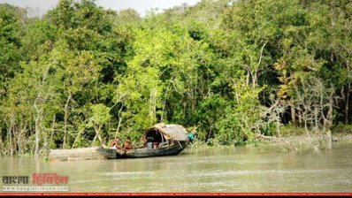 মোংলায় অবৈধভাবে জেলেদের পোনা শিকার