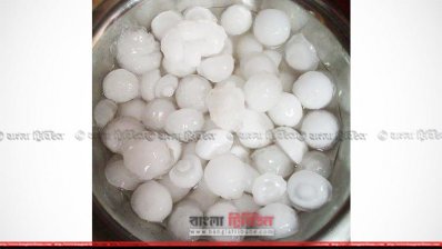 লালমনিরহাটে বৃষ্টির সঙ্গে পড়া শিলা