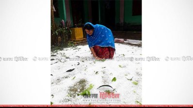 বাড়ির উঠান থেকে শিলা সরিয়ে নিচ্ছেন এক গৃহবধূ