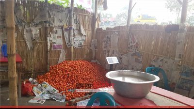 কাজির হাটে টমেটো 
