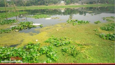 নবগঙ্গার বর্তমান অবস্থা