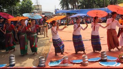 সাংস্কৃতিক পরিবেশনা