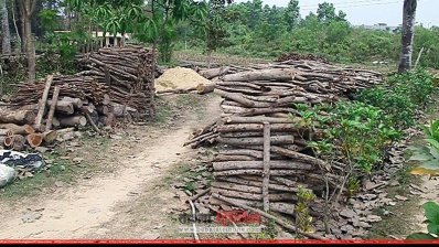 রামু বোটানিক্যাল গার্ডেন