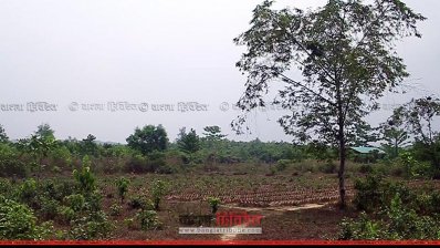 পরিত্যক্ত হওয়ার ঝুঁকিতে রামুর বোটানিক্যাল গার্ডেন