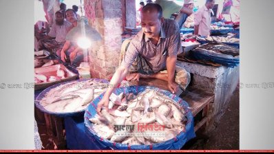 মজুদ থাকা ইলিশেই ভরসা বাগেরহাটের ব্যবসায়ীদের