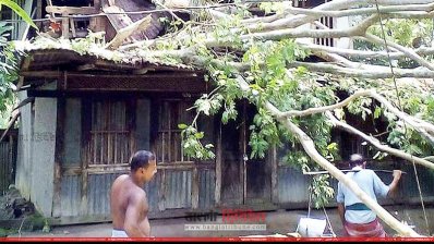 রাজিহার ইউনিয়নের এই বাড়ির ওপর ভেঙে পড়ে গাছ