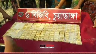 চুয়াডাঙ্গা থেকে উদ্ধার ৩২০টি স্বর্ণের বার