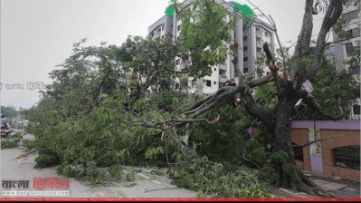 মানিক মিয়া অ্যাভিনিউয়ে ঝড়ের তাণ্ডব