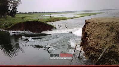 ফসল রক্ষা বাঁধ কাটায় হুমকির মুখে ১০০০ হেক্টর জমির ধান