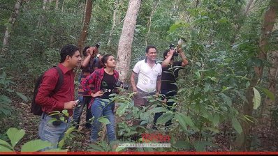 লাউয়াছড়া জাতীয় উদ্যান