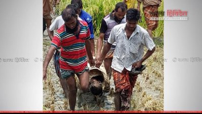 বগুড়ায় চার জনের লাশ উদ্ধার