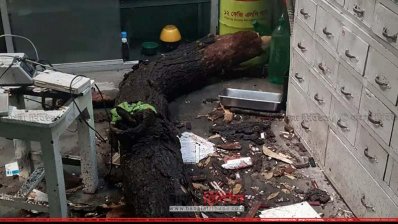 হিলি বাজারে দন্ত চিকিৎসকের ঘরে ঝড়ে ডাল ভেঙে পড়েছে