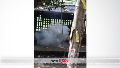 ককটেল