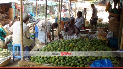 আমের সুবাসে বাজার মাতোয়ারা