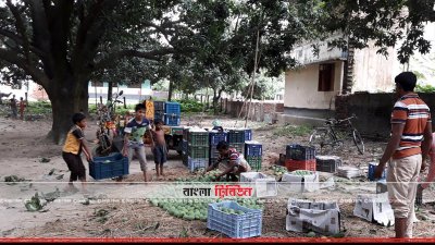 আমের সুবাসে বাজার মাতোয়ারা