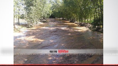 ব্যবস্থা না নেওয়ায় সমস্যা দিন দিন প্রকট আকার ধারণ করছে