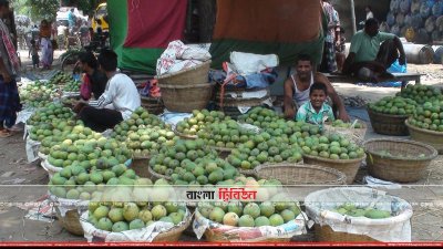 আমের সুবাসে বাজার মাতোয়ারা