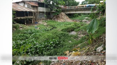সাতক্ষীরার মৃত প্রায় প্রাণসায়ের খাল