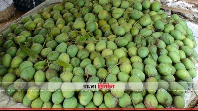 চাঁপাইনবাবগঞ্জে ২৯ জুন থেকে ১ জুলাই &lsquo;আম উৎসব&rsquo; 
