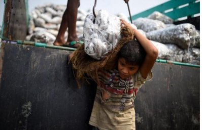 ট্রাক থেকে মাছ নামানোর কাজ করছে এক রোহিঙ্গা শিশু