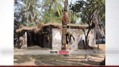বরগুনায় এমন ঘরে থাকতে হচ্ছে বনপ্রহরীদের